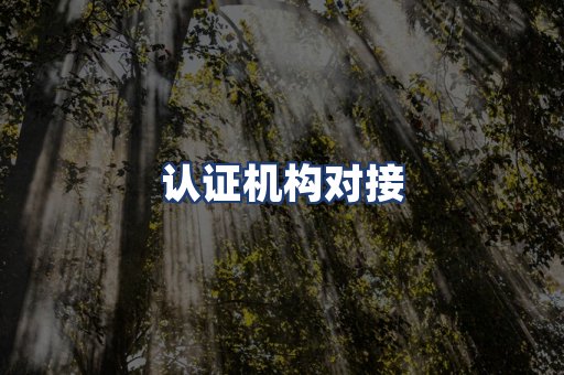认证机构对接